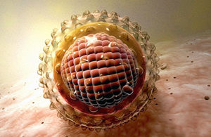 вирус гепатита B под микроскопом