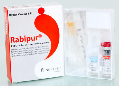 вакцина «Рабипур»