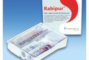 прививка «Рабипур»
