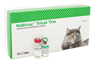 Прививка для кошек раз в год thumbnail