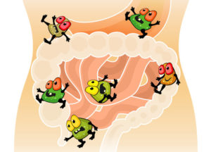 микроорганизмы в кишечнике человека