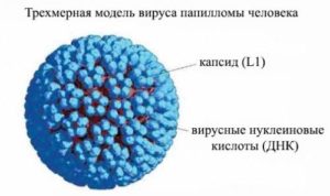 Вирус папилломы человека на языке фото