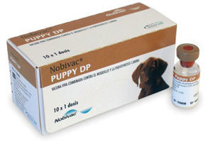 вакцина «Нобивак Puppy DP»
