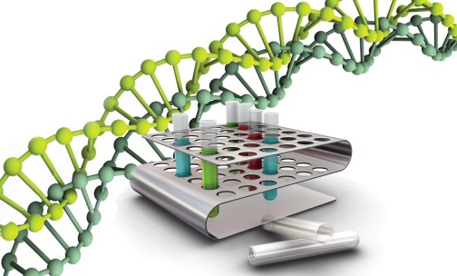 рисунок анализа ДНК при ПЦР диагностике