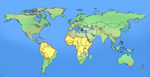 карта мира с обозначением распространения жёлтой лихорадки
