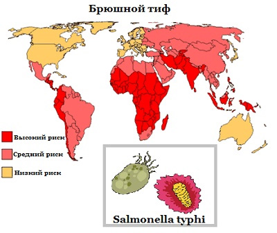 карта с обозначением стран распространения брюшного тифа