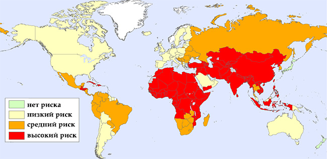 карта распространения вируса бешенства в странах мира