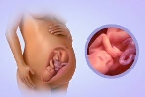ребёнок в животе у беременной женщины