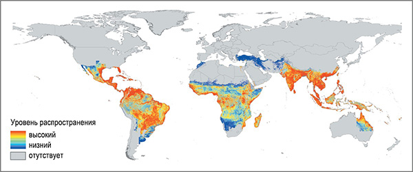 карта с отмеченными странами, где распространена лихорадка Денге